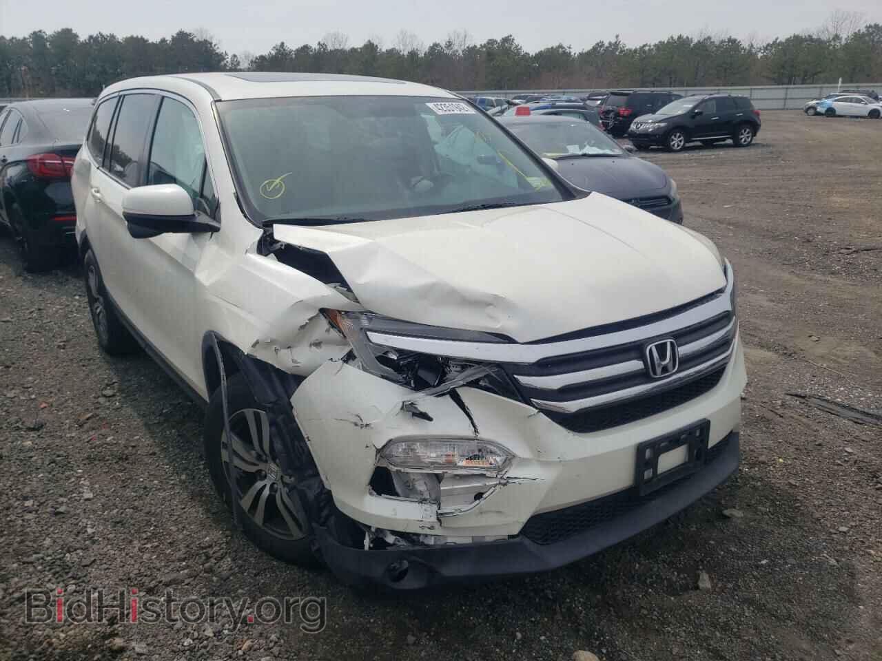 Фотография 5FNYF6H50HB003644 - HONDA PILOT 2017