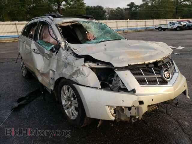 2011 CADILLAC SRX - VIN: 3GYFNAEY3BS648857 - Фото 4