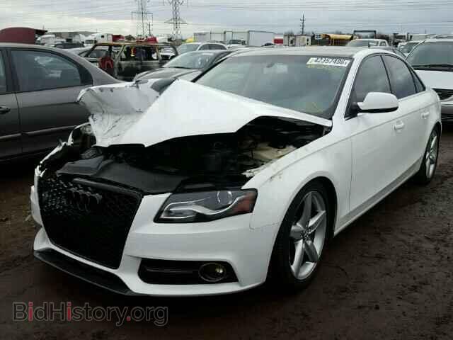 2011 AUDI A4 - VIN: WAUFFAFL0BN031509 - Фото 2
