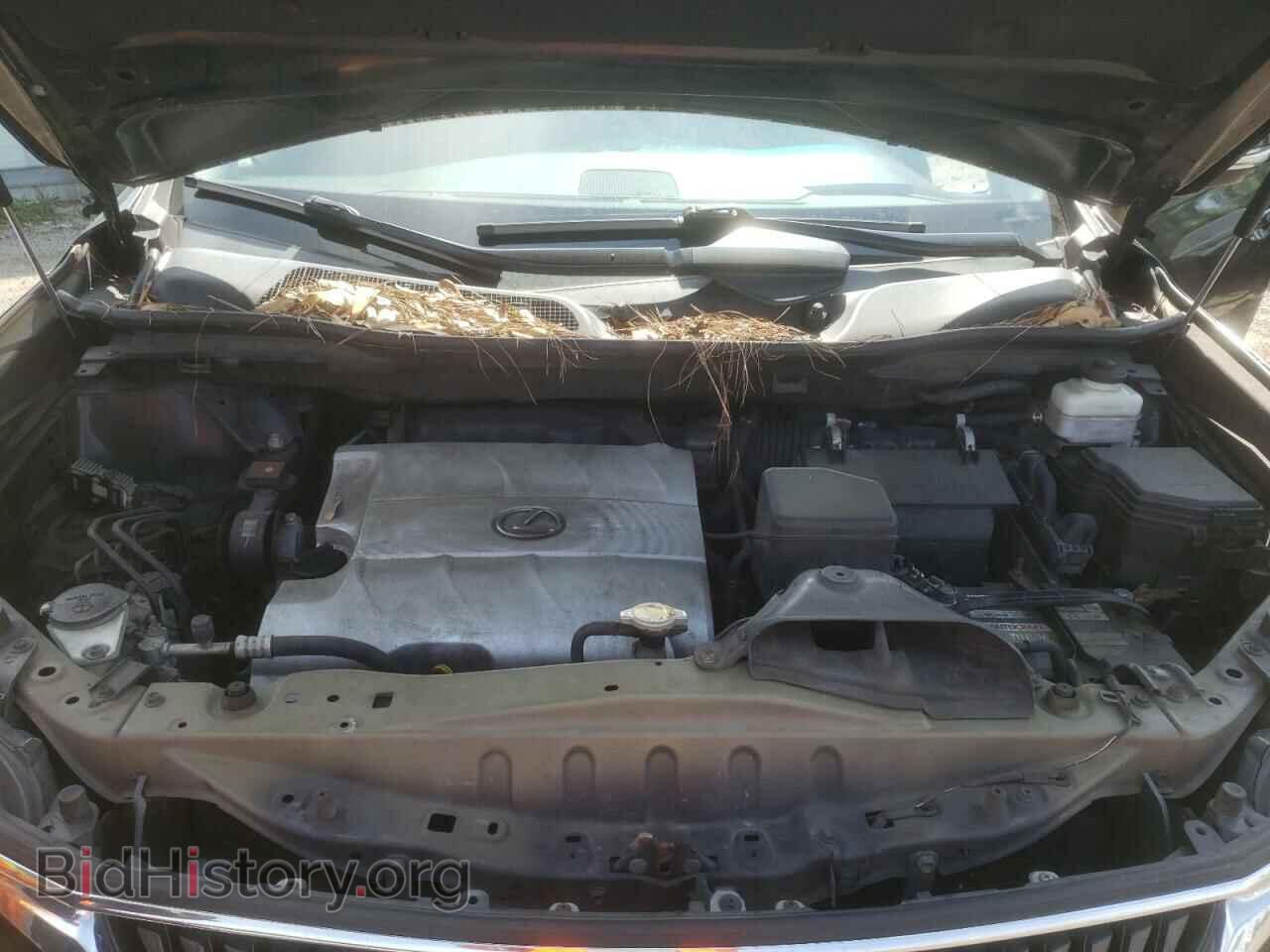 2010 LEXUS RX350 - VIN: 2T2BK1BA3AC057620 - Фото 7
