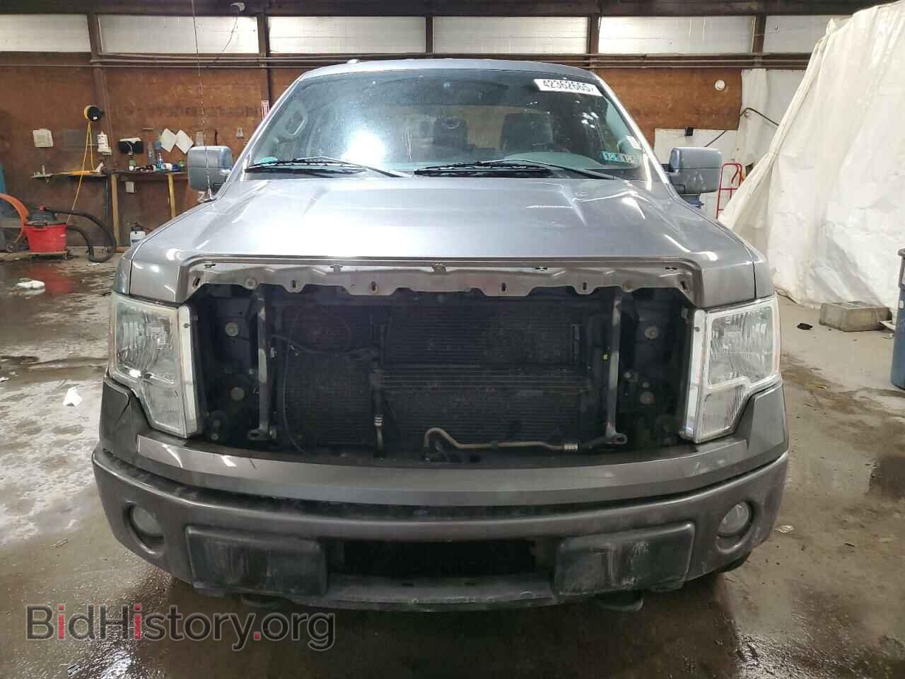 2013 FORD F-150 - VIN: 1FTFX1EF0DFA51848 - Фото 5