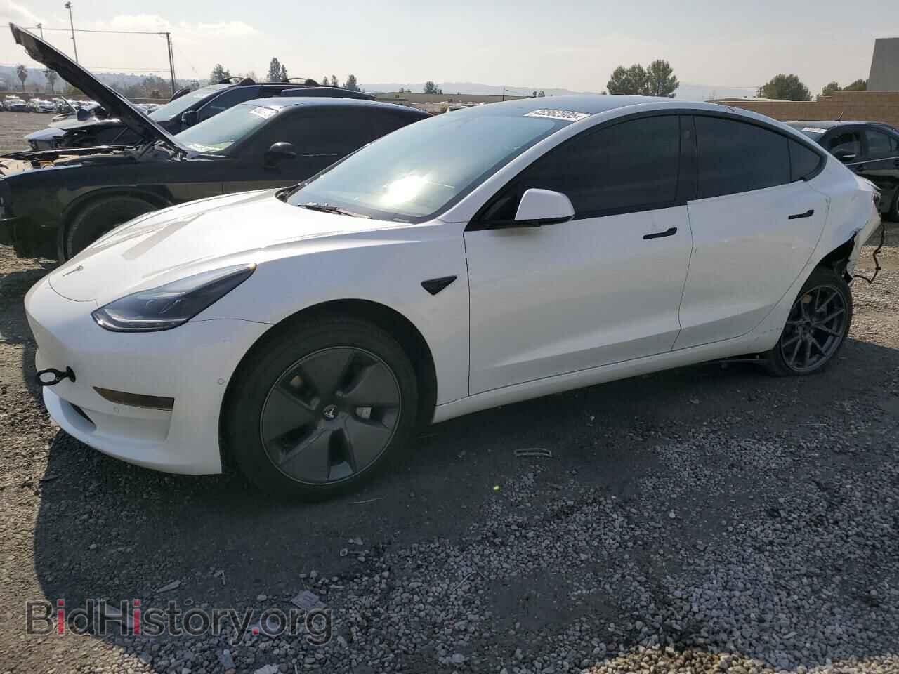 Photo 5YJ3E1EA4MF096065 - TESLA MODEL 3 2021