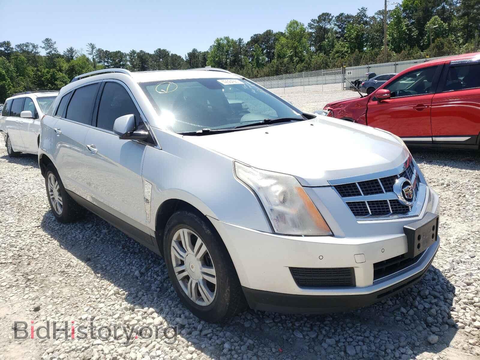 Photo 3GYFNDEY9BS528210 - CADILLAC SRX 2011