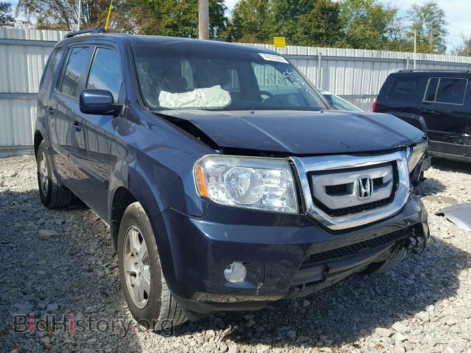 Фотография 5FNYF4H44BB071352 - HONDA PILOT 2011