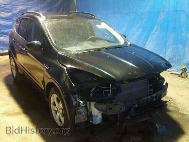 Фотография 1FMCU0G94EUD81207 - FORD ESCAPE 2014