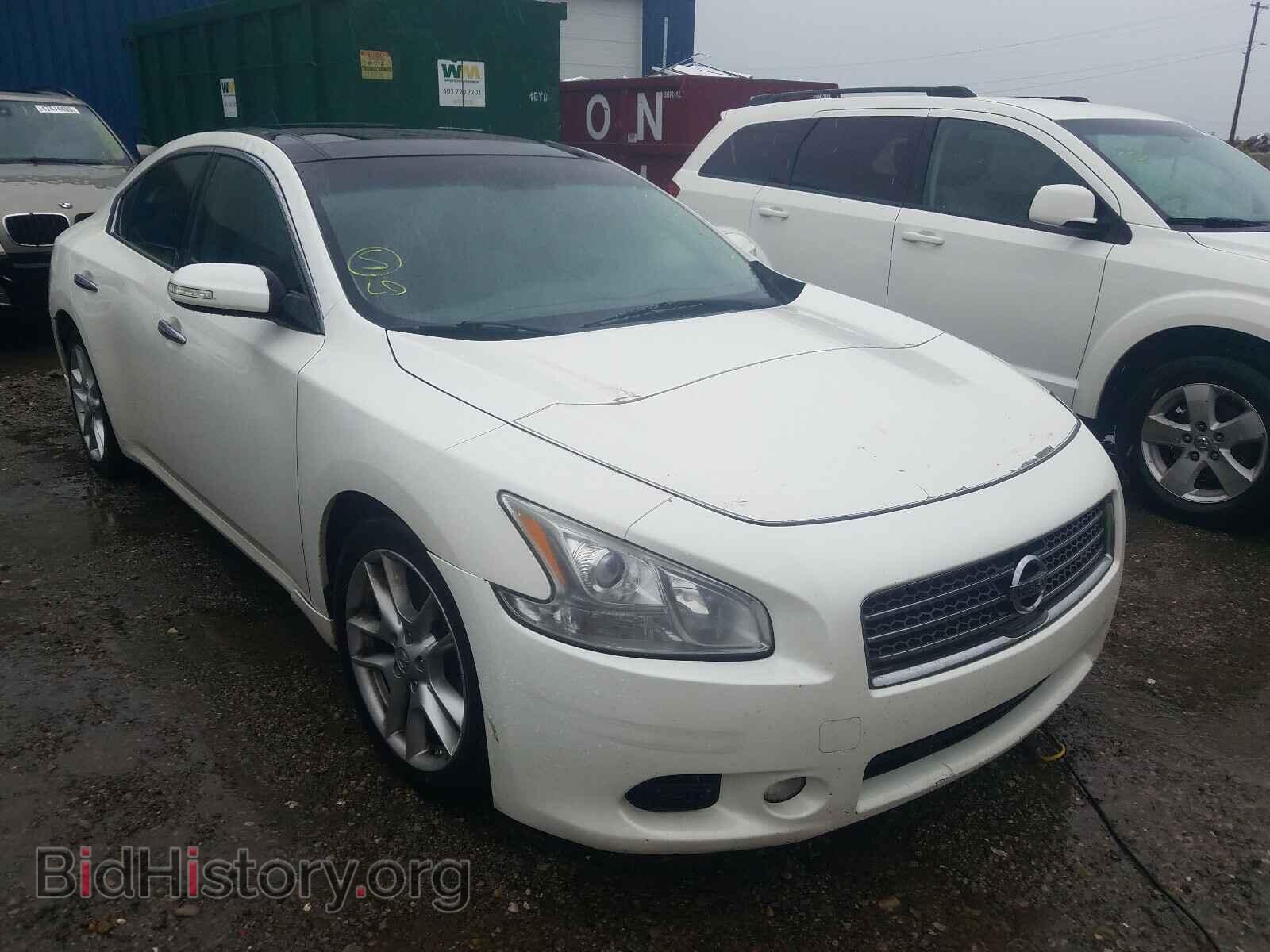 Фотография 1N4AA51E19C817701 - NISSAN MAXIMA 2009