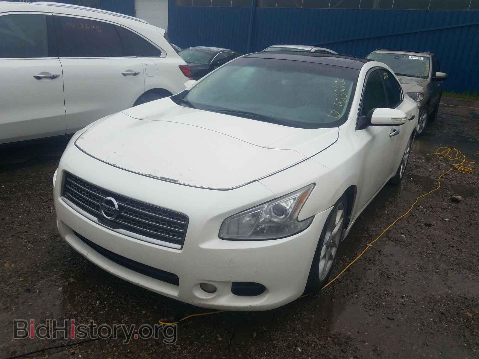 2009 NISSAN MAXIMA - VIN: 1N4AA51E19C817701 - Фото 2