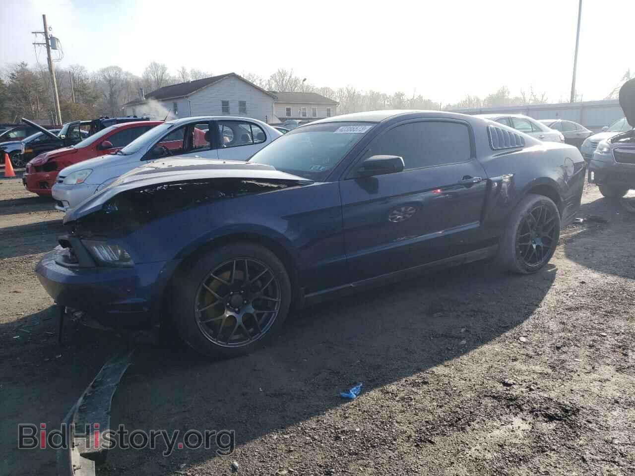 Фотография 1ZVBP8CF2B5127192 - FORD MUSTANG 2011