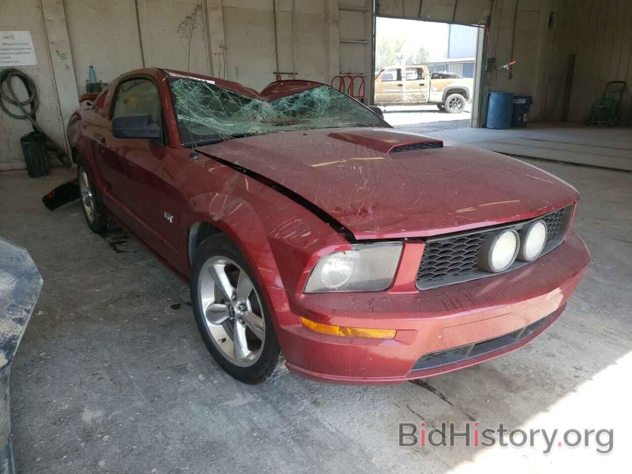 Photo 1ZVHT82H675369676 - FORD MUSTANG 2007