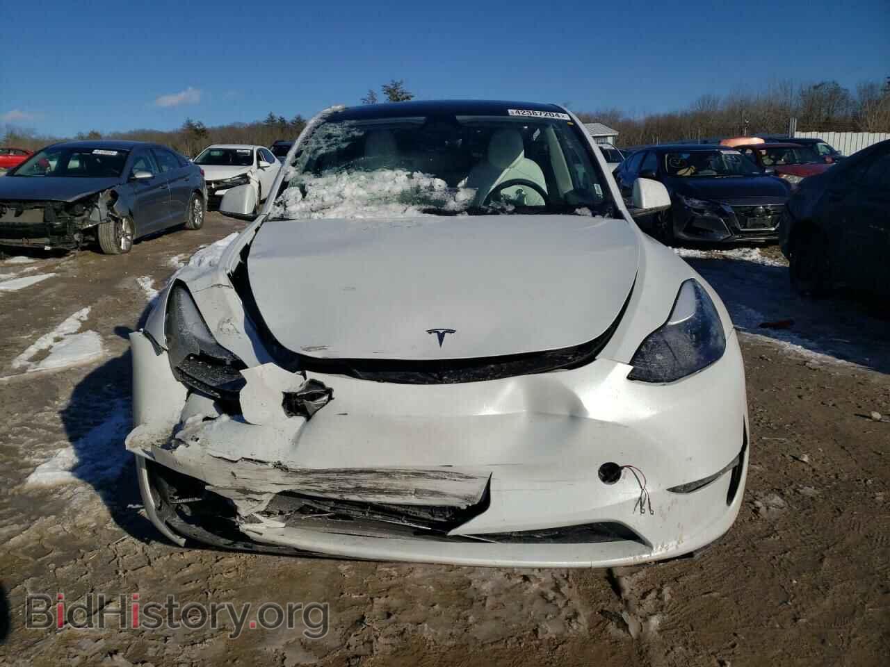 2023 TESLA MODEL Y - VIN: 7SAYGDEE4PF841876 - Фото 5
