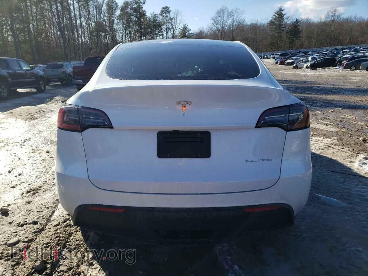 2023 TESLA MODEL Y - VIN: 7SAYGDEE4PF841876 - Фото 6