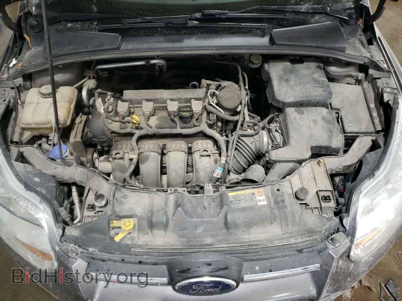 2013 FORD FOCUS - VIN: 1FADP3F21DL318100 - Фото 11