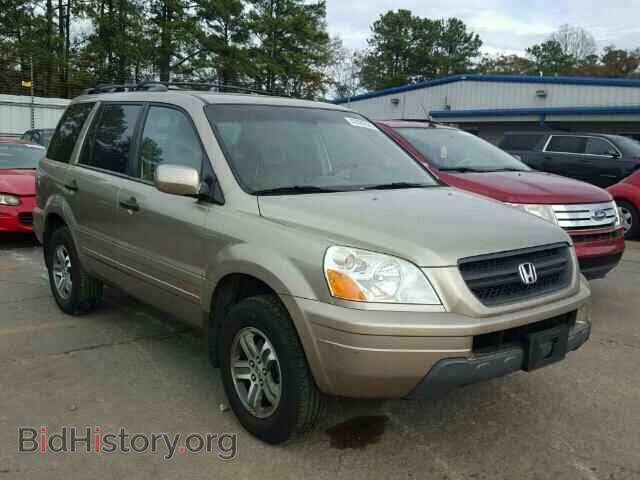 Фотография 5FNYF18525B037566 - HONDA PILOT 2005