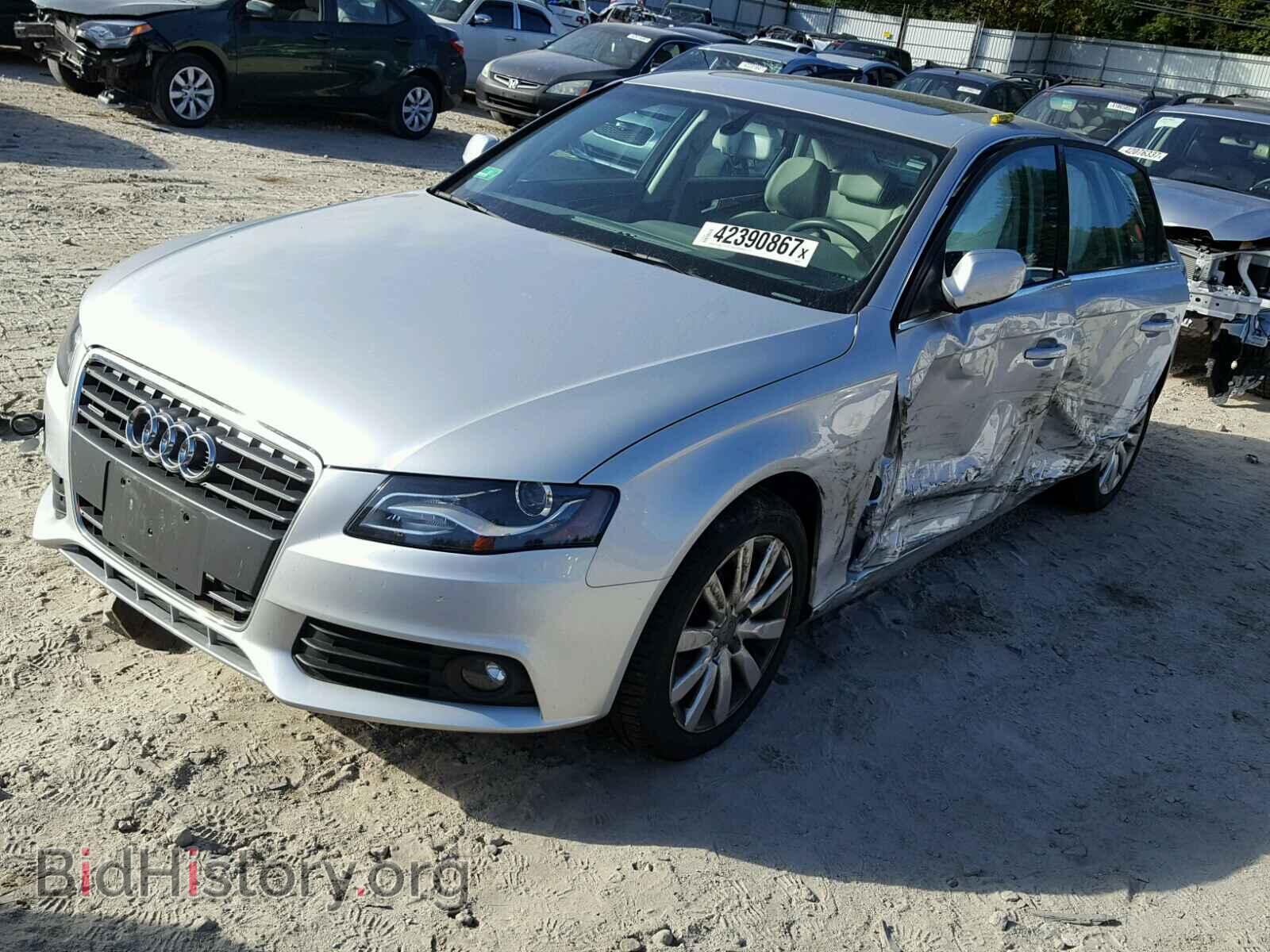 2010 AUDI A4 - VIN: WAUFFAFL5AN044397 - Фото 2