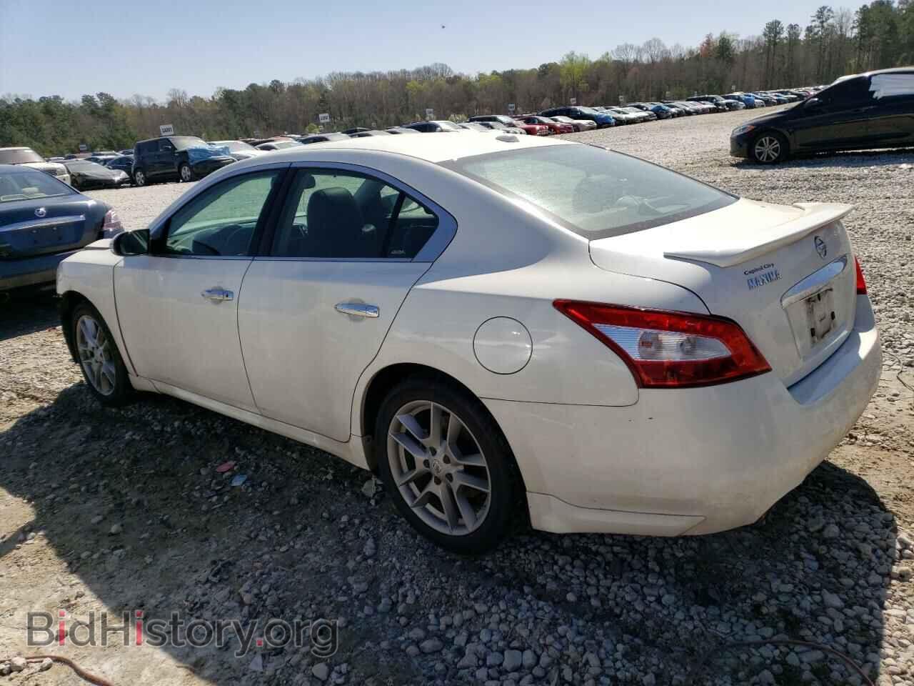2011 NISSAN MAXIMA - VIN: 1N4AA5AP4BC861439 - Фото 2
