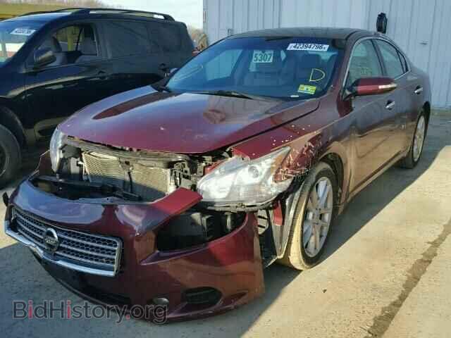 2009 NISSAN MAXIMA - VIN: 1N4AA51E99C811595 - Фото 2