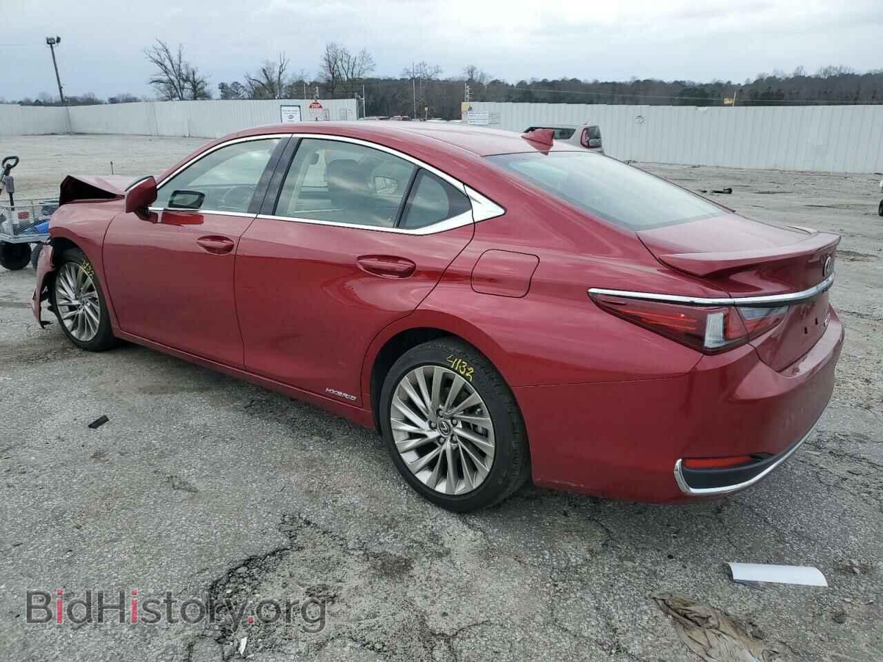 2019 LEXUS ES300 - VIN: JTHB21B13K2041792 - Фото 2