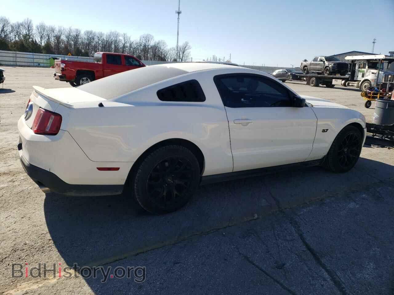 2011 FORD ALL Models - VIN: 1ZVBP8AM2B5109244 - Фото 3