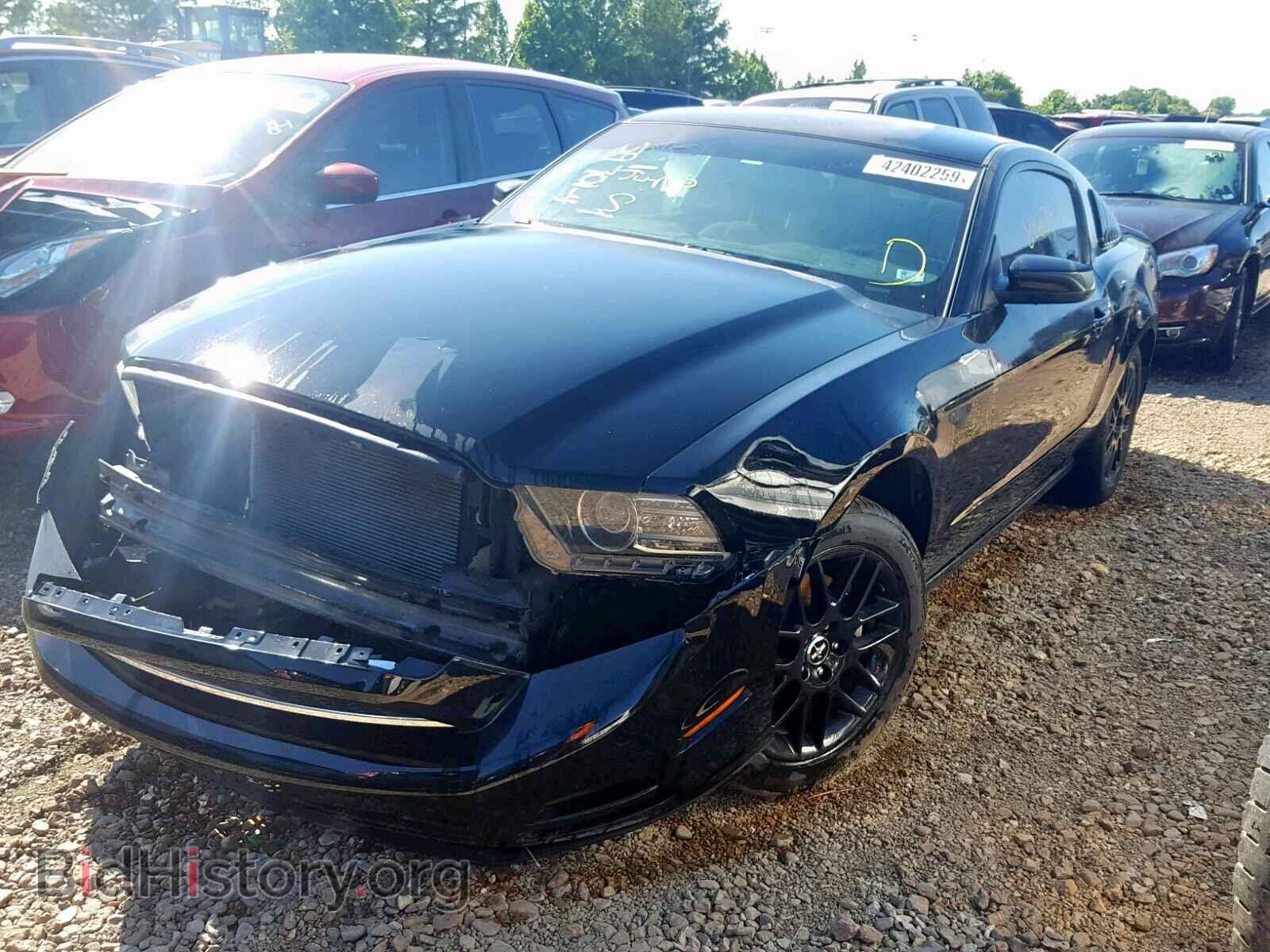 2014 FORD MUSTANG - VIN: 1ZVBP8AM8E5318900 - Фото 2