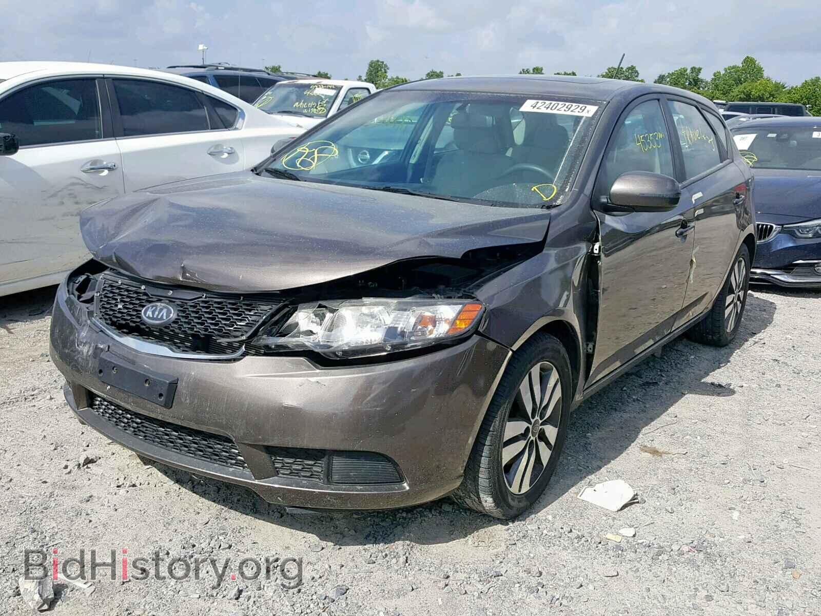 2013 KIA FORTE EX - VIN: KNAFU5A29D5681177 - Фото 2