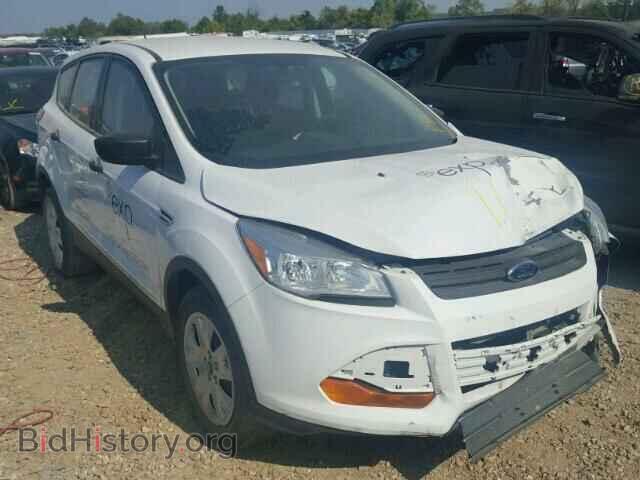Photo 1FMCU0F7XDUC80638 - FORD ESCAPE 2013