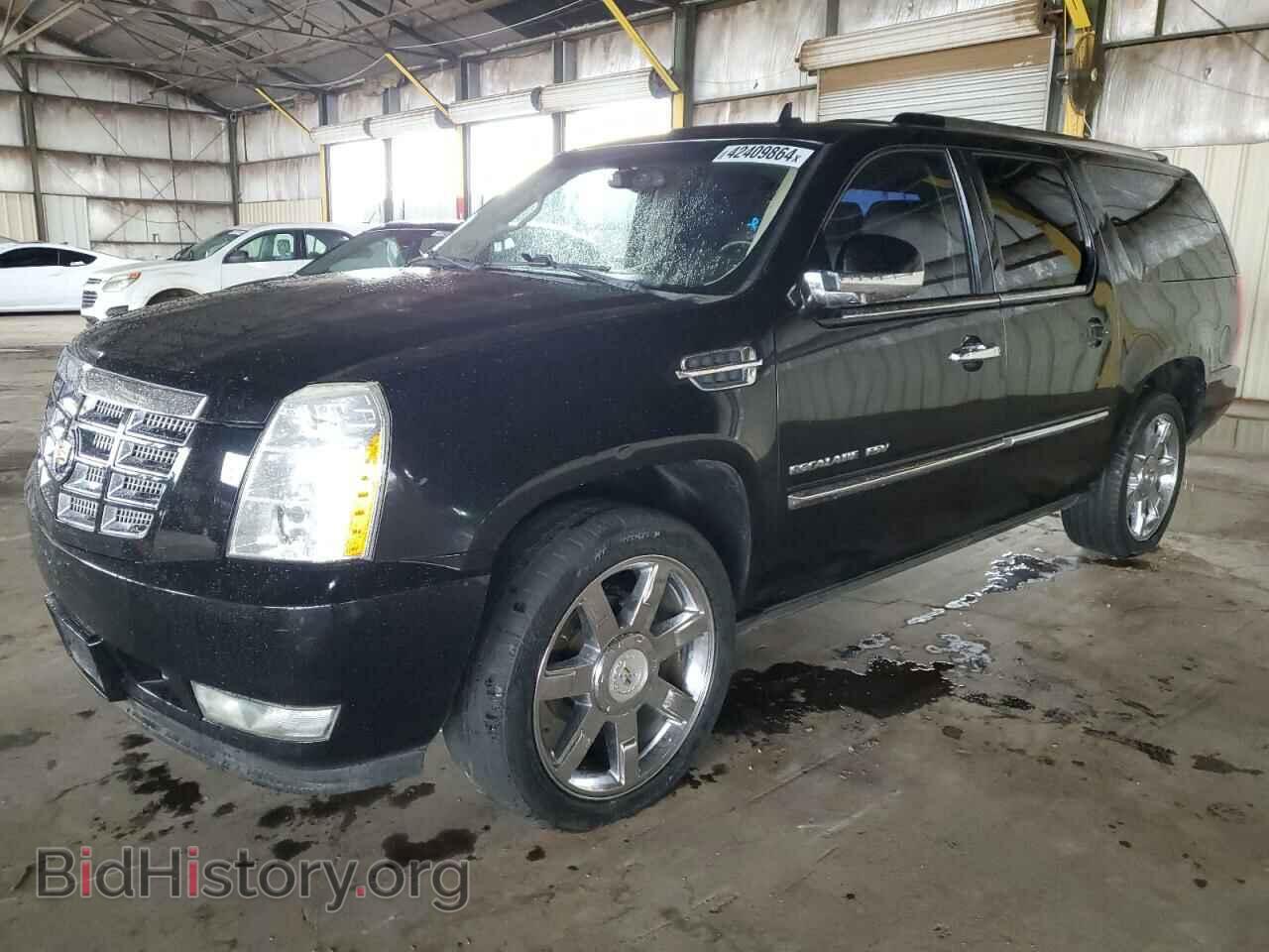 Фотография 1GYS3JEF1BR134057 - CADILLAC ESCALADE 2011