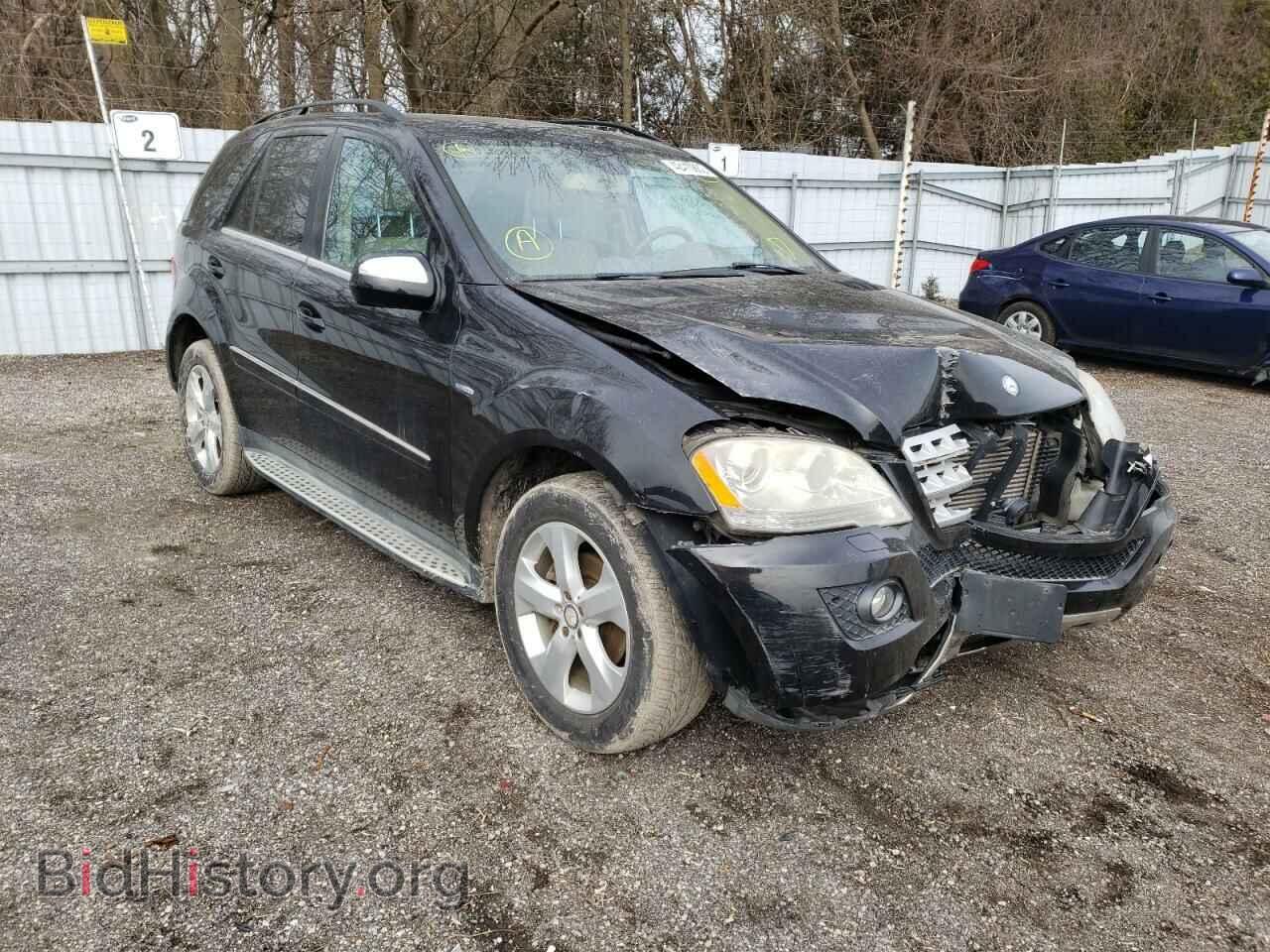 Photo 4JGBB2FB0AA603299 - MERCEDES-BENZ M-CLASS 2010