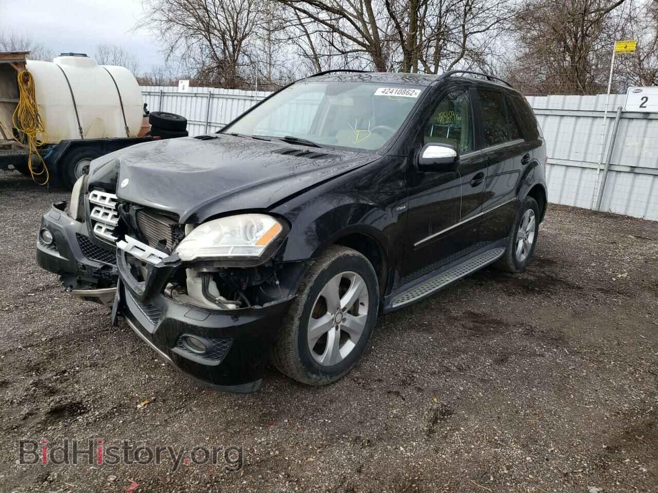 2010 MERCEDES-BENZ M-CLASS - VIN: 4JGBB2FB0AA603299 - Фото 2