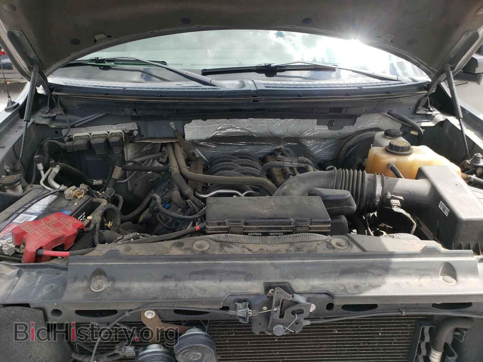 2013 FORD F150 - VIN: 1FTFW1CF5DFA32251 - Фото 7