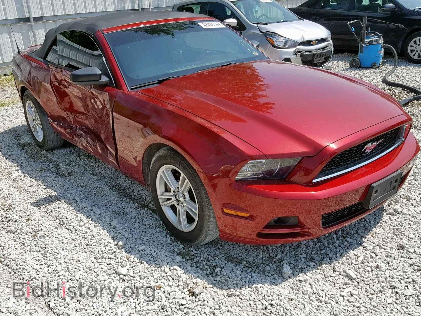 Фотография 1ZVBP8EM0E5211074 - FORD MUSTANG 2014