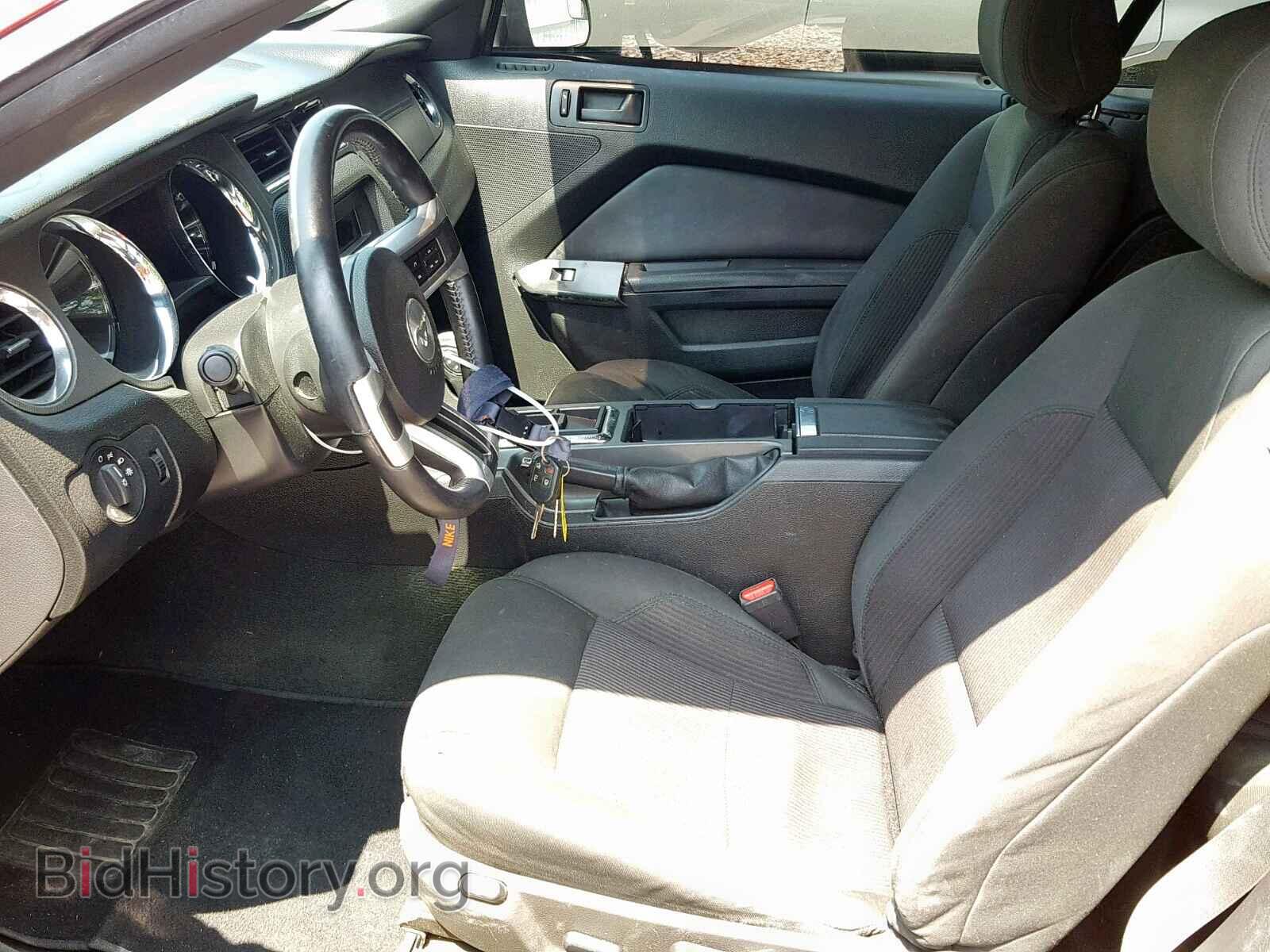 2014 FORD MUSTANG - VIN: 1ZVBP8EM0E5211074 - Фото 5