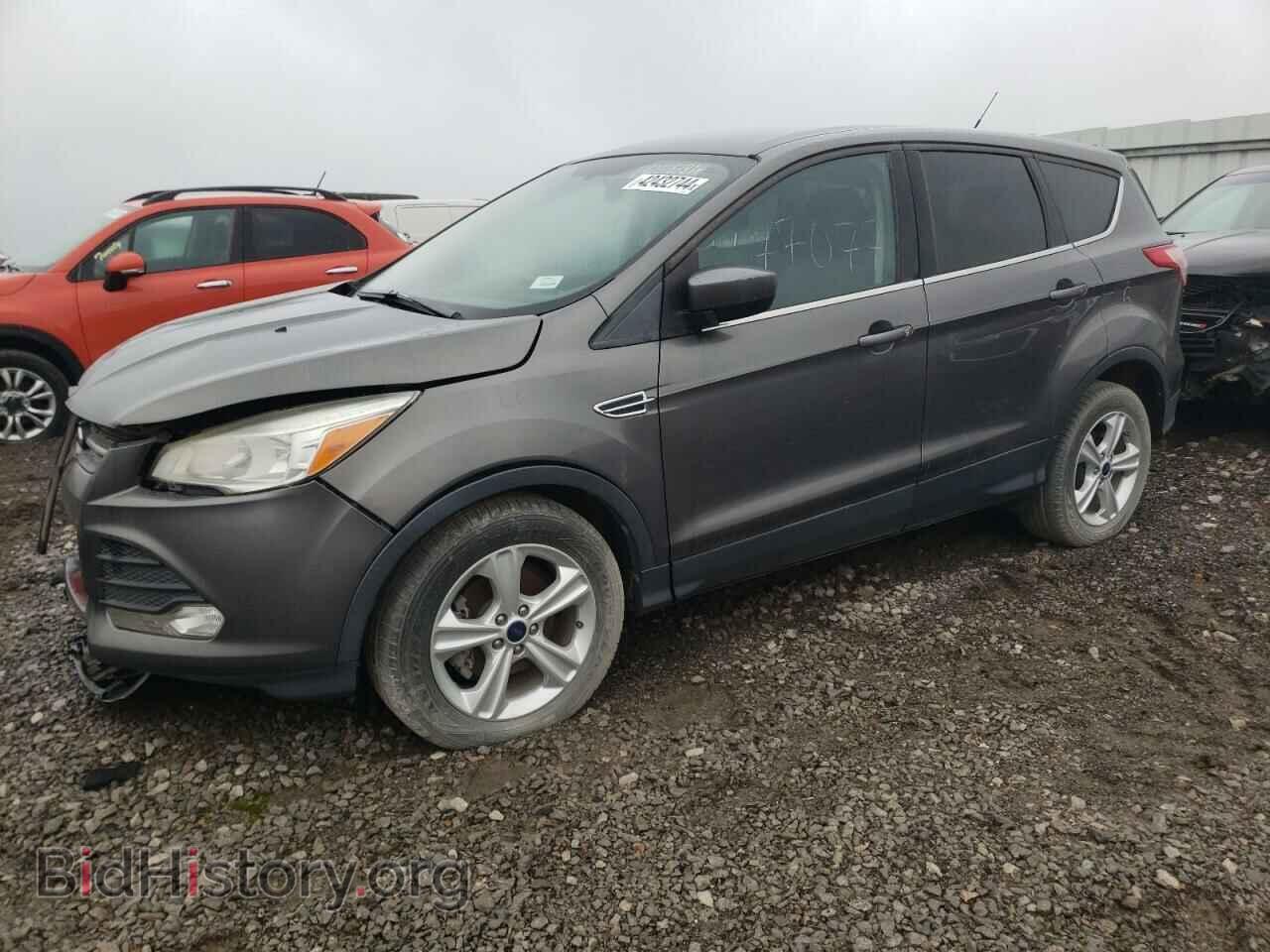 Photo 1FMCU0GXXEUB61455 - FORD ESCAPE 2014