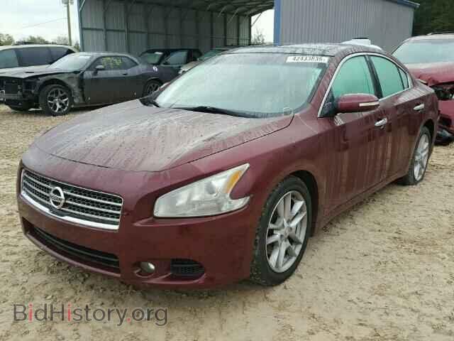 2009 NISSAN MAXIMA - VIN: 1N4AA51E69C824711 - Фото 2