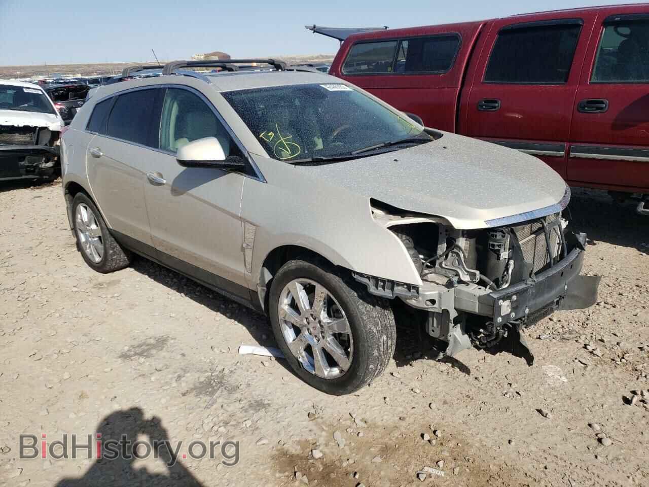 Фотография 3GYFNEEY7BS585253 - CADILLAC SRX 2011