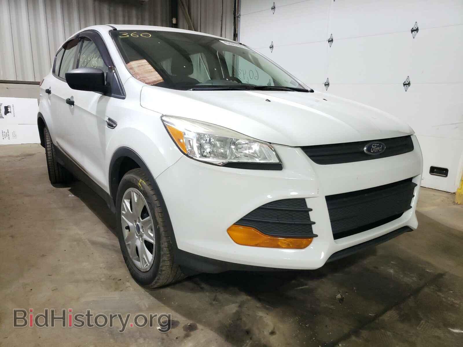 Photo 1FMCU0F78DUB29880 - FORD ESCAPE 2013