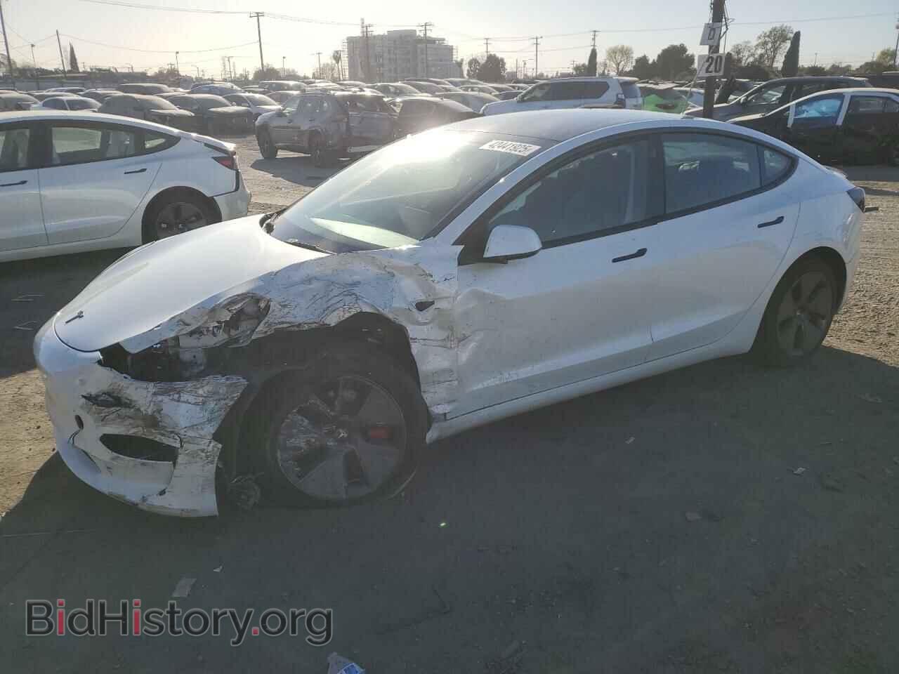 Фотография 5YJ3E1EA8PF405962 - TESLA MODEL 3 2023
