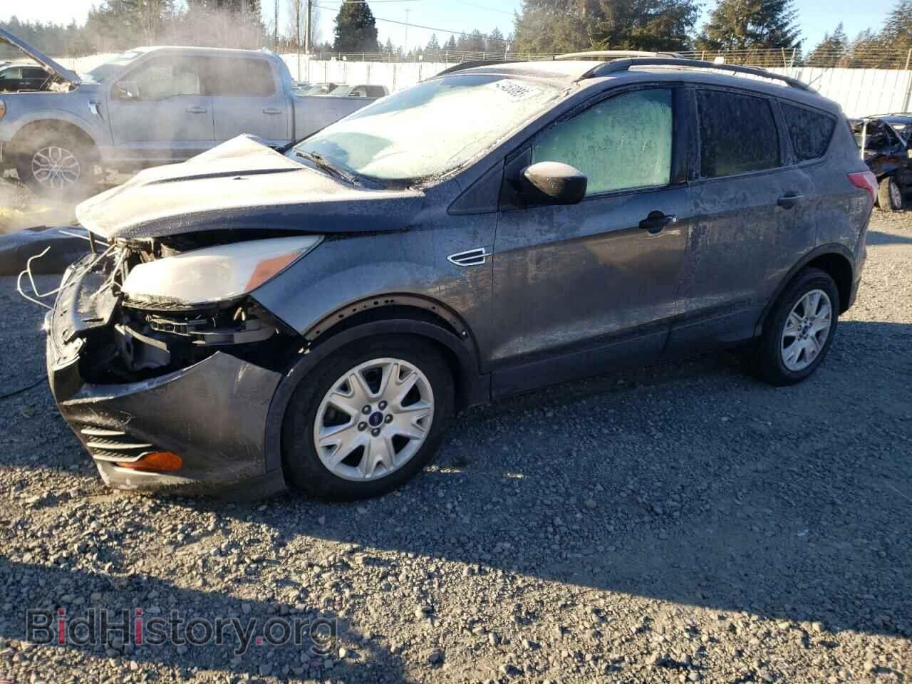 Photo 1FMCU0F70DUB17612 - FORD ESCAPE 2013