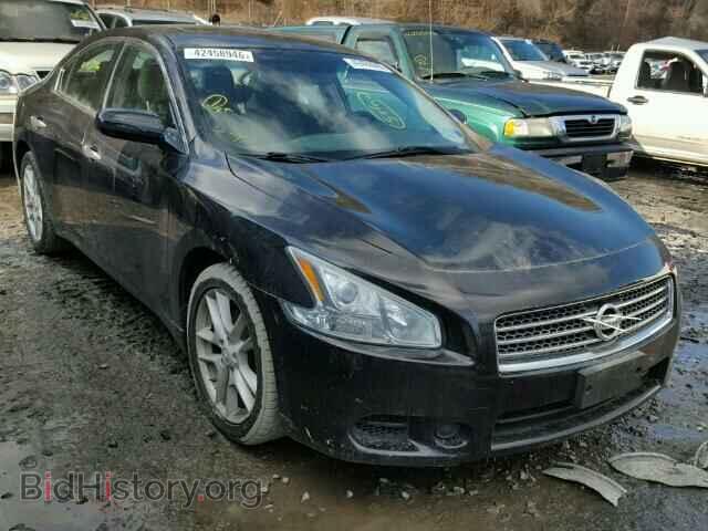 Фотография 1N4AA5AP5BC846741 - NISSAN MAXIMA 2011