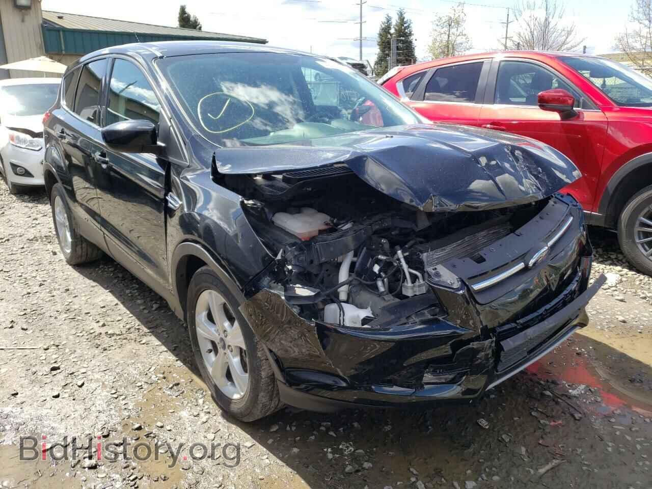 Photo 1FMCU9GX4EUE01037 - FORD ESCAPE 2014