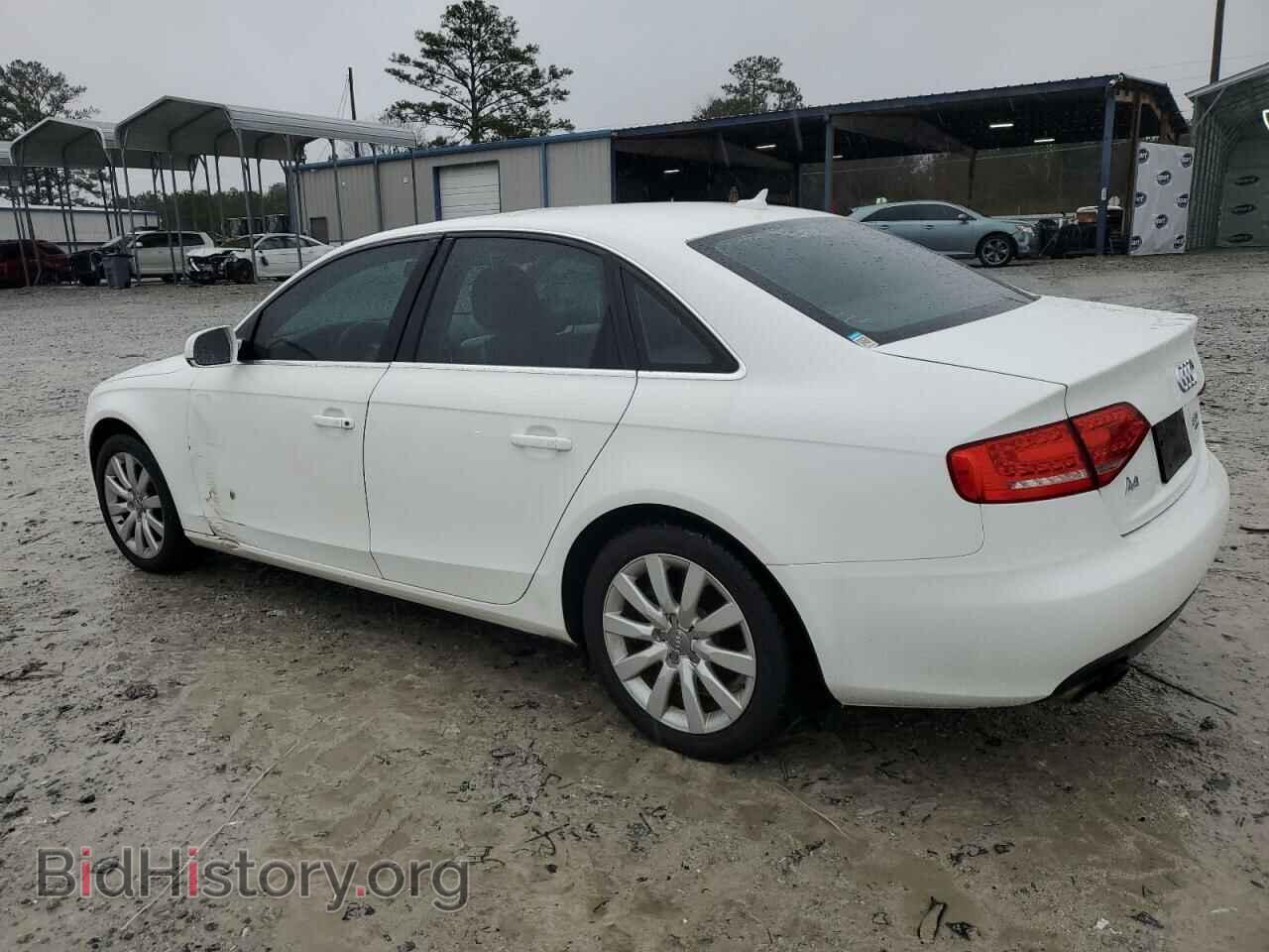 2010 AUDI A4 - VIN: WAUFFAFL2AN064686 - Фото 2