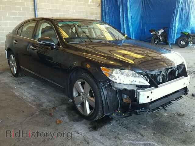 Фотография JTHBL5EF6A5093992 - LEXUS LS460 2010
