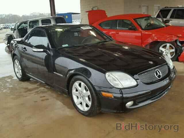 Photo WDBKK49F32F242183 - MERCEDES-BENZ SLK230 2002