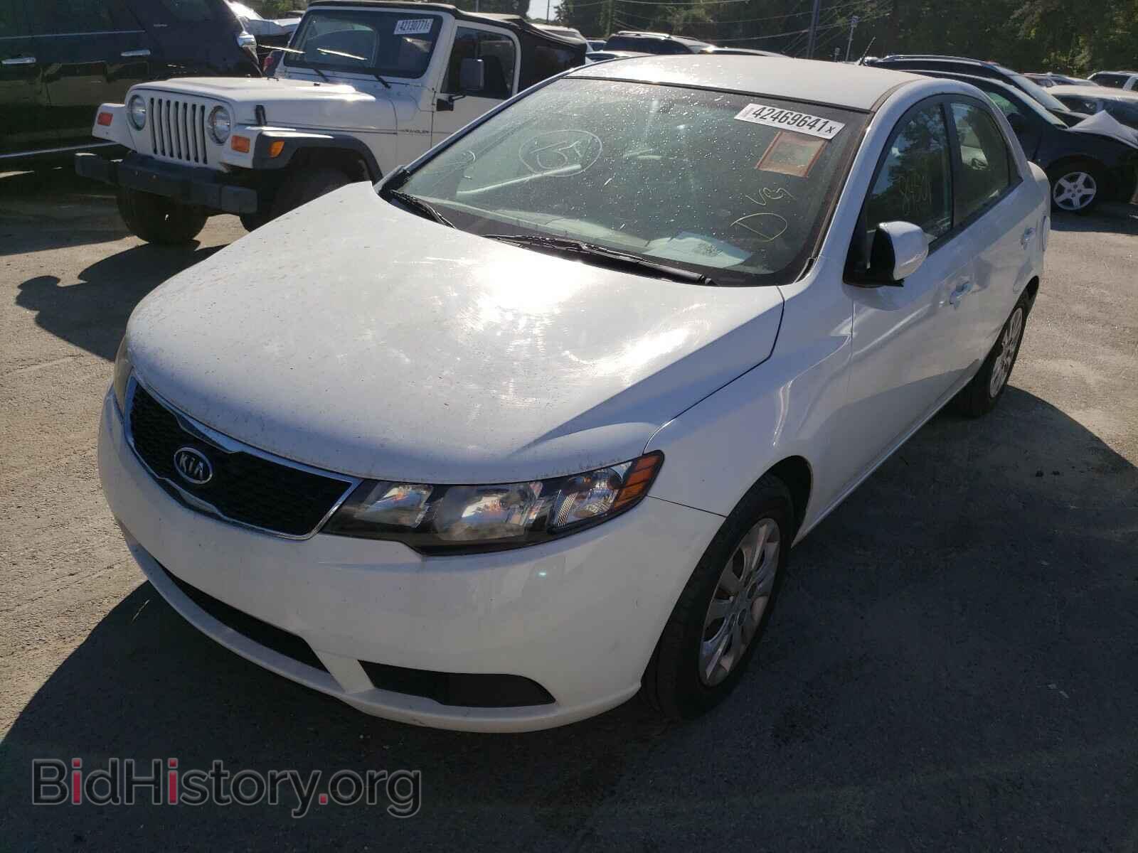 2013 KIA FORTE - VIN: KNAFT4A27D5673365 - Фото 2