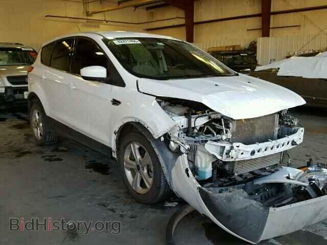 Фотография 1FMCU0GX4DUC38433 - FORD ESCAPE 2013