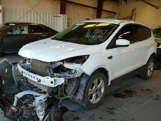 2013 FORD ESCAPE - VIN: 1FMCU0GX4DUC38433 - Фото 2