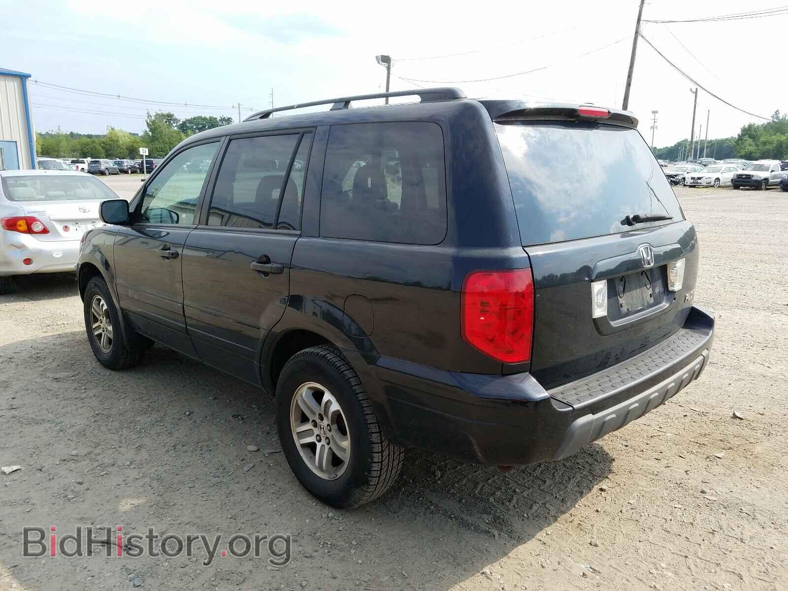 2005 HONDA PILOT - VIN: 2HKYF18705H562497 - Фото 3