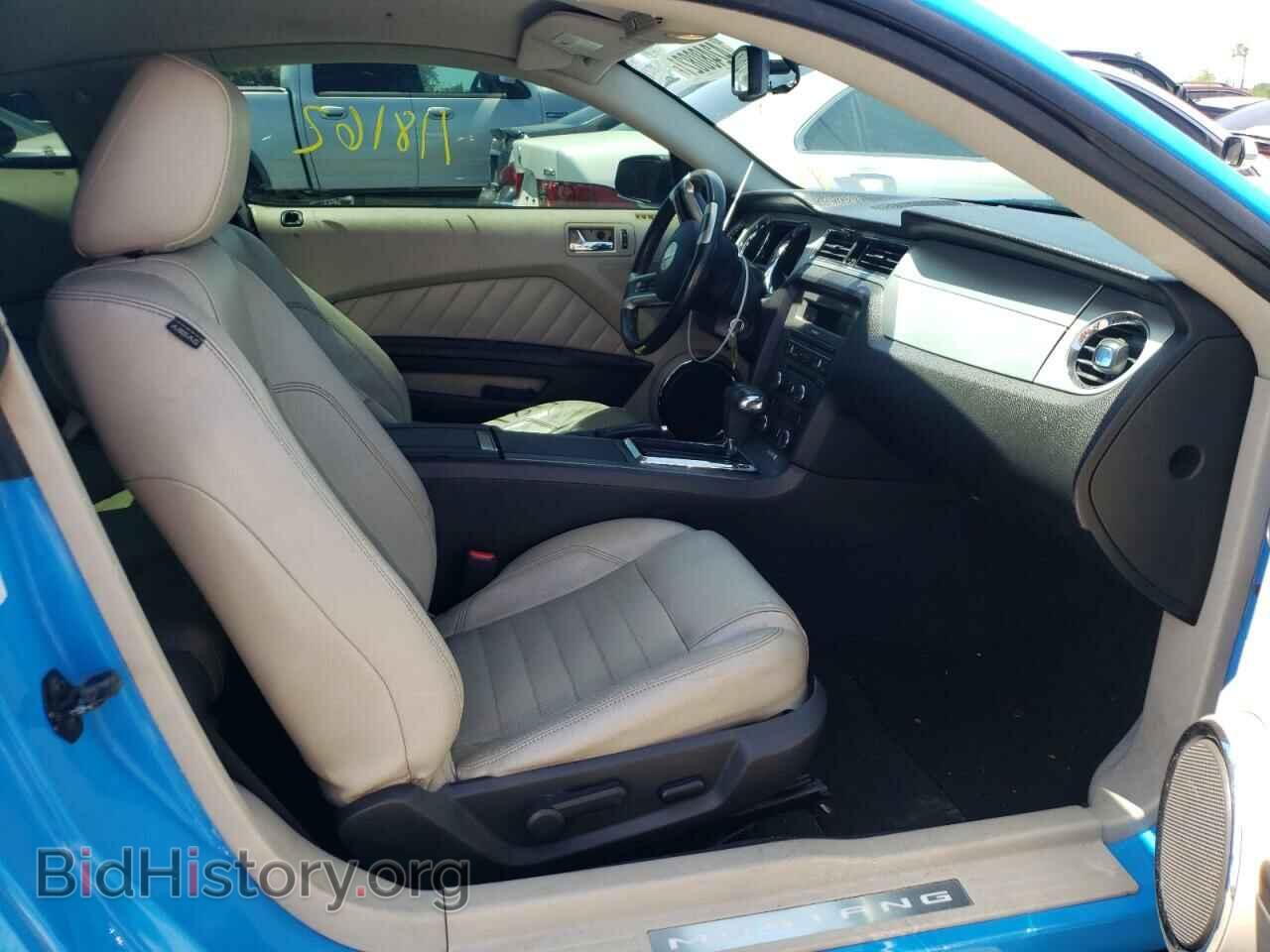 2010 FORD MUSTANG - VIN: 1ZVBP8CH9A5136830 - Фото 5
