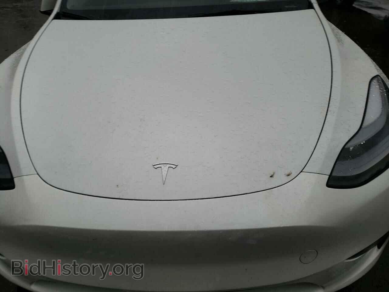 2024 TESLA MODEL Y - VIN: 7SAYGDEE8RF193395 - Photo 11