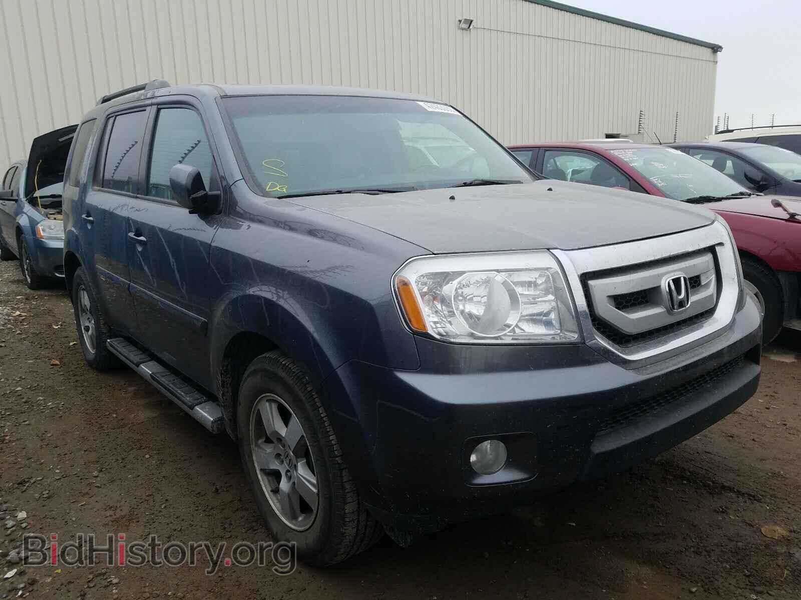 Фотография 5FNYF4H51BB507776 - HONDA PILOT 2011
