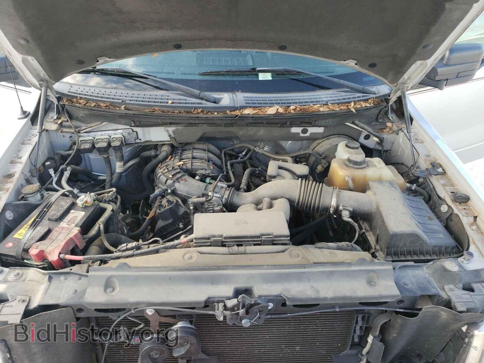 2011 FORD F150 - VIN: 1FTMF1CM8BFA79468 - Фото 7